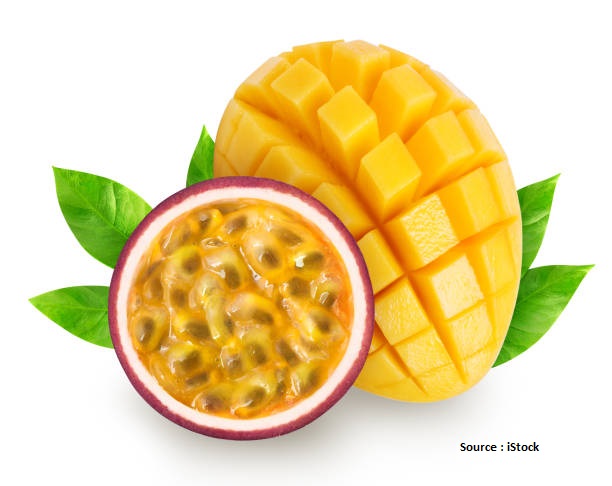 BOH Yaourt de brebis MANGUE PASSION