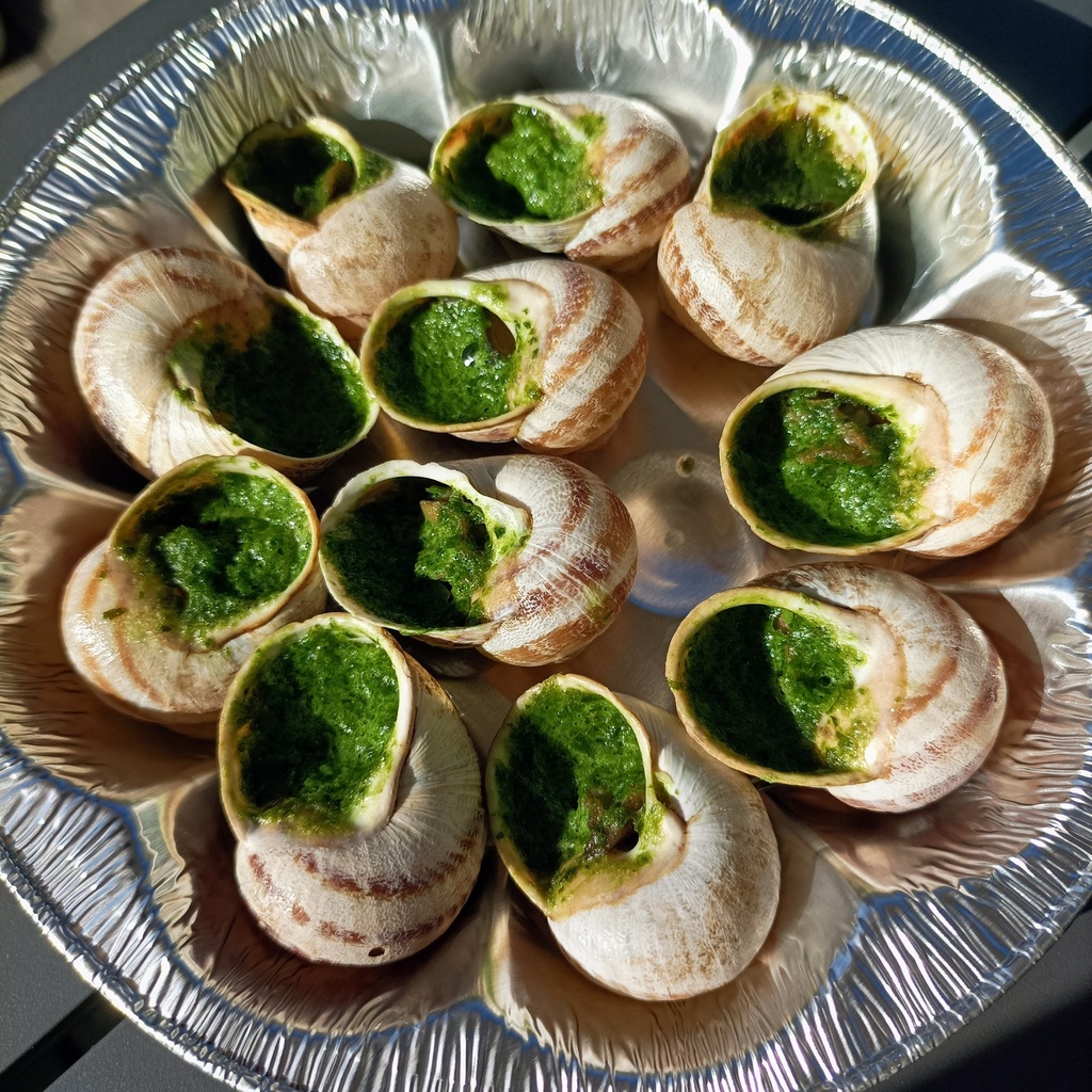 CAR 12 Escargots en  coquille à la Bourguignonne