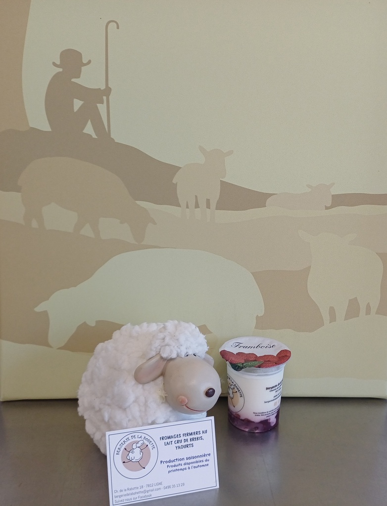 BOH Yaourt de brebis FRAMBOISE