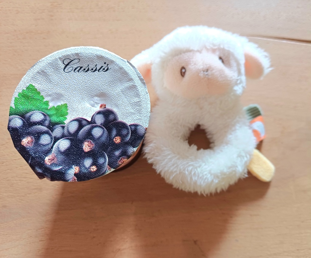 BOH Yaourt temporaire - PECHE PASSION