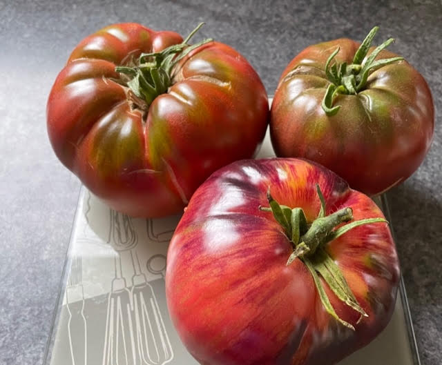 FVDA Mix tomates variétés spéciales