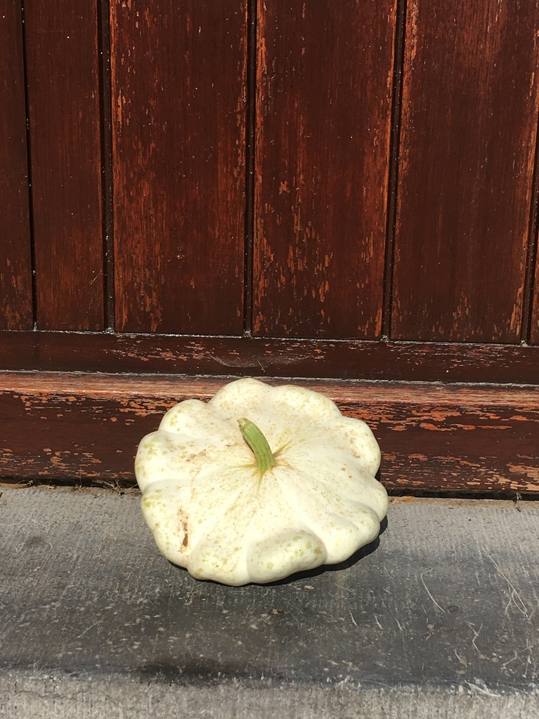 FVDA Pâtisson blanc