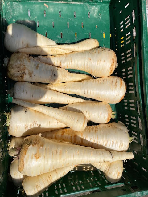 FVDA Panais (1 kg)