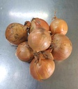 CDM Oignons jaunes (1 kg)