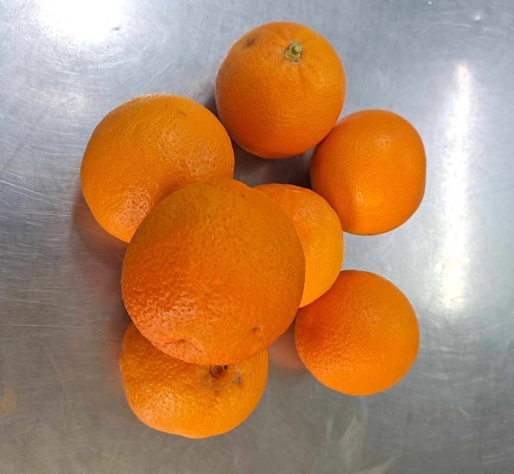 ORANGE SANGUINE 1 KG BIO -Italie