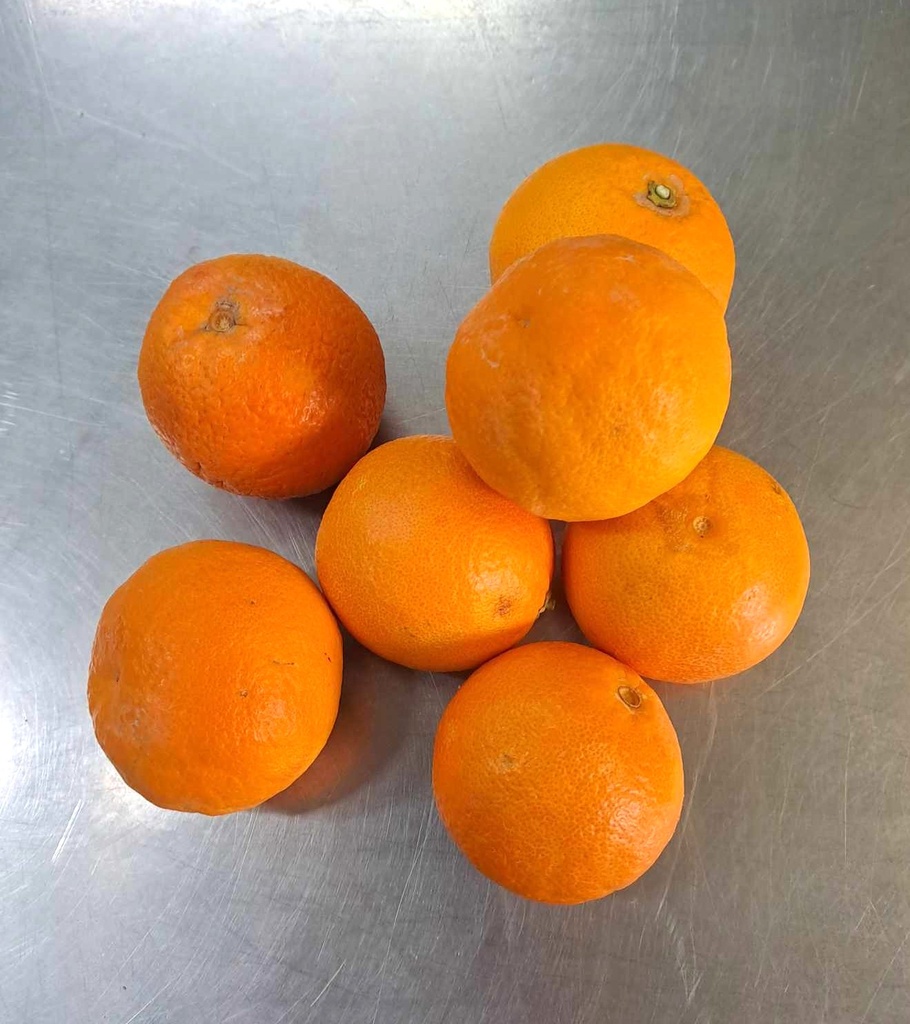 ORANGE DE TABLE 1 KG BIO -Italie