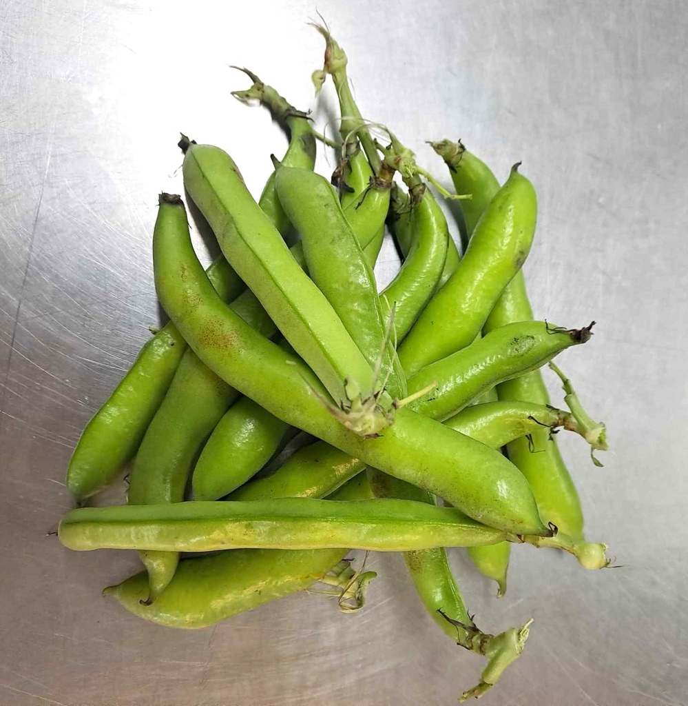 CDM Fèves des marais 300 g
