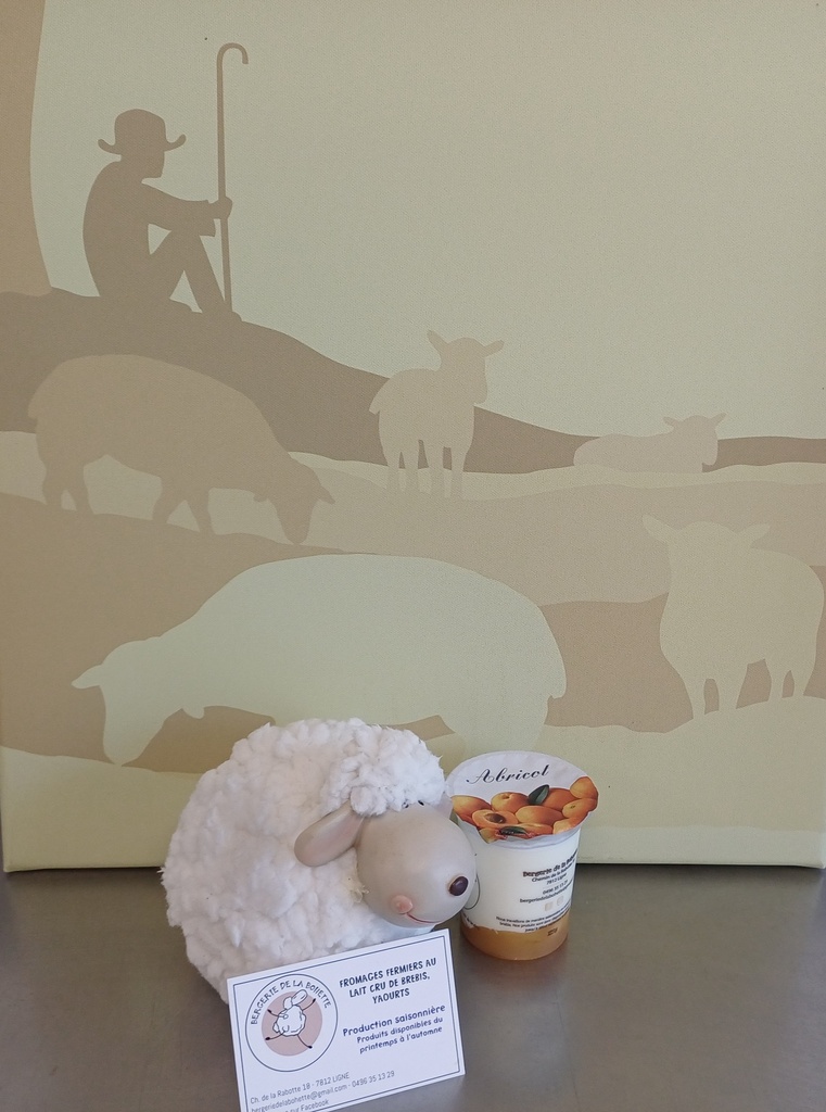 BOH Yaourt de brebis ABRICOT