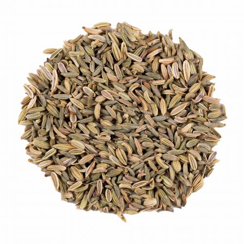 [GGS053] GGS Plante sèche "graines de Fenouil" (50g sachet éco)