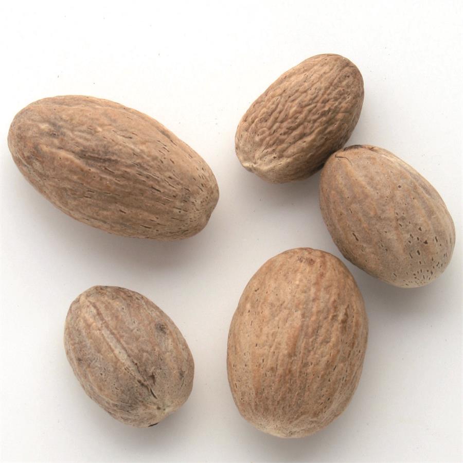 GGS Epice "Noix de muscade"