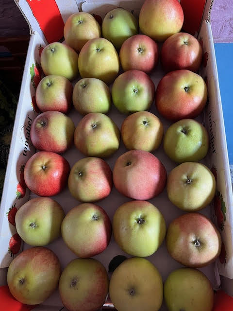 FVDA Pommes Cox's Orange 1kg
