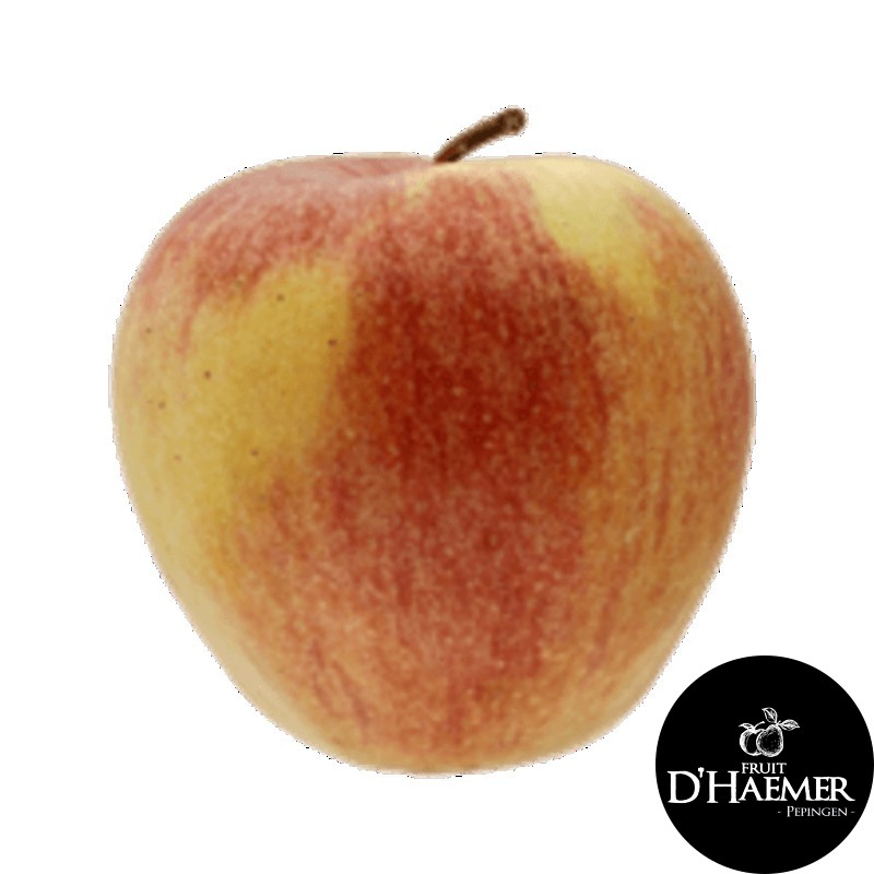 MAR Pomme Elstar [D'Haemer – Pepingen]