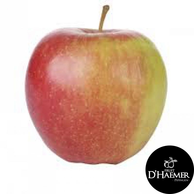 MAR Pomme Jonagold [D'Haemer – Pepingen]