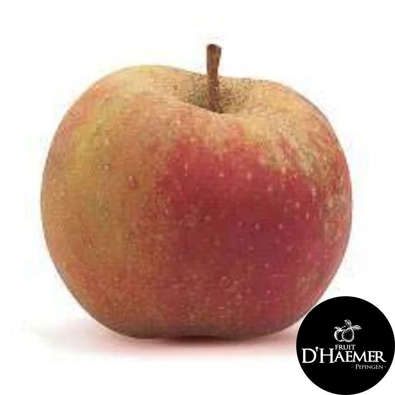 MAR Pomme Boskoop [D'Haemer – Pepingen]