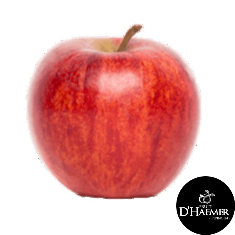 MAR Pomme Gala [D'Haemer – Pepingen]