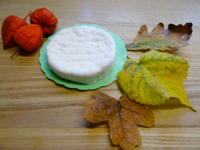 [CCG002] CCG Camembert 