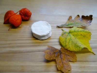 [CCG003] CCG Chavinnes 