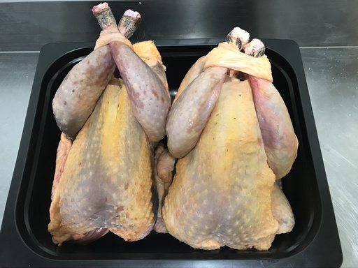 [E4V030] E4V Pintadeau - 1,6-1,7kg