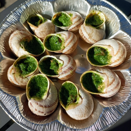 [CAR012] CAR 12 Escargots en  coquille à la Bourguignonne