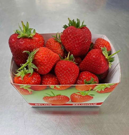 [CDM033] CDM Fraises - 500 g