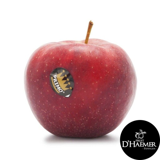 MAR Pomme Primo [D'Haemer – Pepingen]