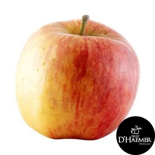 MAR Pomme Zari [D'Haemer – Pepingen]