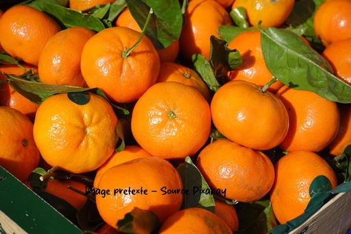 [CDM063] CDM clementine Italie Bio