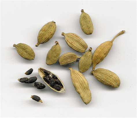 GGS Epice " Cardamome fruit"