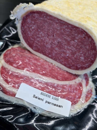 [BGS038] BGS Salami parmesan
