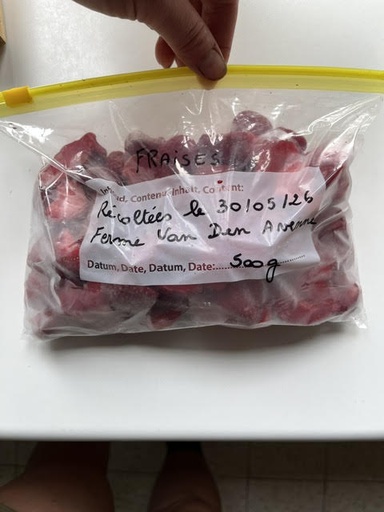 [FVDA094] FVDA Fraises surgelées