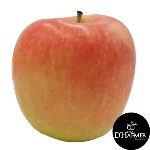 MAR Pomme Delbar [D'Haemer – Pepingen]